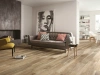 Керамогранит Oak YI212M3104 Matt 20*120 