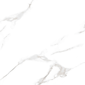 Керамогранит 5020 glossy 60*60