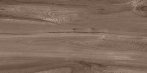 Керамогранит Oak Wood Natural matt 60*120